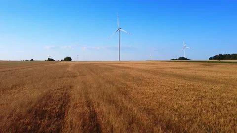 Wind turbines rotating in wheat field under clear blue sky Video stock 342592315