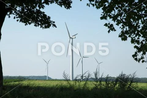 Wind turbines seen through trees Stock Photos