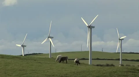 Wind turbines with sheep in foreground Видео 12495705