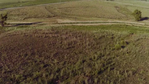 Wind Turbines Spin in Field Behind Farm Stock Footage 75873810