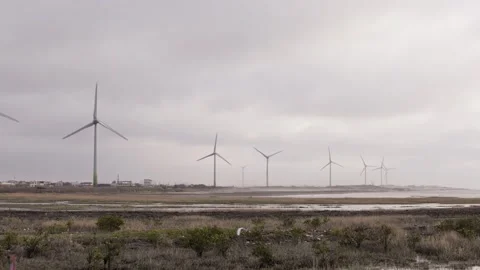 Wind turbines spinning on cloudy day near coastline in sustainable energy scene Stock Footage 313949855