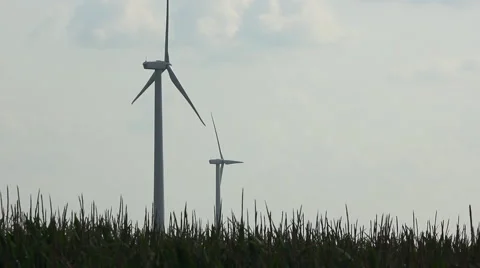 Wind Turbines Spinning In A Corn Field (Med) Stock Footage 41852356