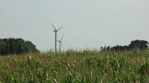 Wind Turbines Spinning In A Corn Field (Med) Stock Footage 41852358