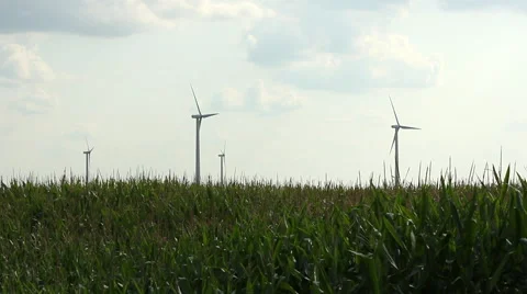 Wind Turbines Spinning In A Corn Field (Med) Stock Footage 41852359