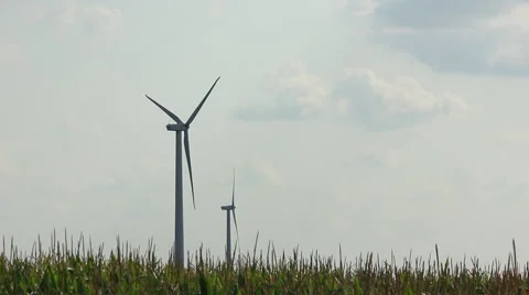 Wind Turbines Spinning In A Corn Field (Med) Stock Footage 41852362