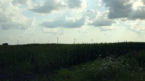 Wind Turbines Spinning In A Corn Field (Wide) Stock Footage 41852385
