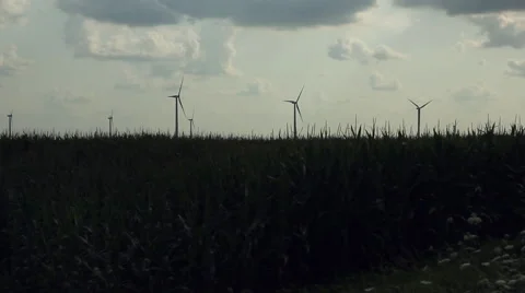 Wind Turbines Spinning In A Corn Field (Tilt Up) Stock Footage 41852386