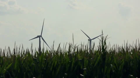 Wind Turbines Spinning In A Corn Field (Med) Stock Footage 41852397