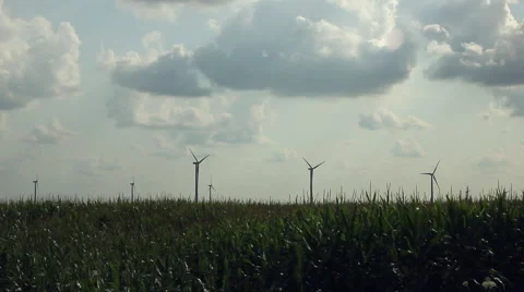 Wind Turbines Spinning In A Corn Field (Wide) Stock Footage 41852413