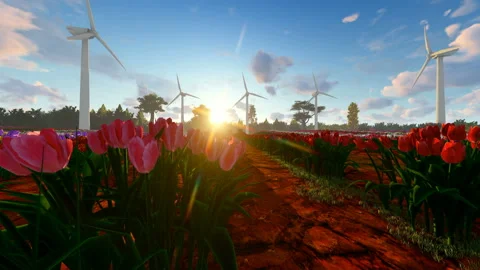 Wind Turbines Spinning With Tulip Fields At Daytime Stock Footage 171000832