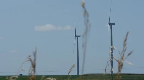 WInd turbines with stalks in foreground Stock Footage 54217957