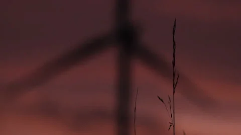 Wind Turbines at Sunset Vídeo Stock 43549466