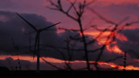 Wind Turbines at Sunset Vídeo Stock 43549574