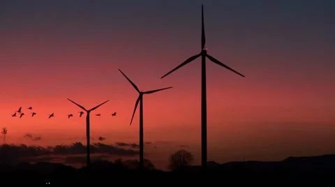 Wind turbines in the sunset Stock Footage 56848822