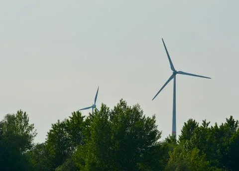Wind turbines surrounded by trees. Stock Photos