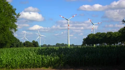 Wind turbines turn behind a corn field in Bunde, East Frisia, Lower Saxony, Germ Stock Footage 201894820