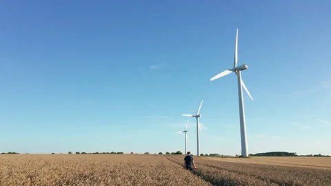 Wind Turbines Turning in a Wheat Field in Denmark Stock Footage 244843448