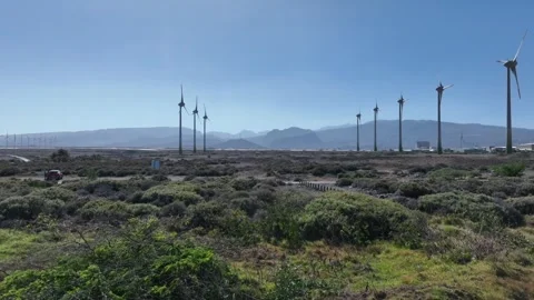 Wind Turbines on Vast Field with Raw Plantations, Mountains and Blue Sky Stock Footage 310017822