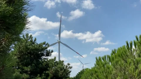 Wind turbines visible through pine trees, cloudy blue sky Stock Footage 138884592