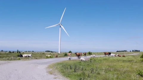 Wind Turbines in Western Norway Stock Footage 279171053