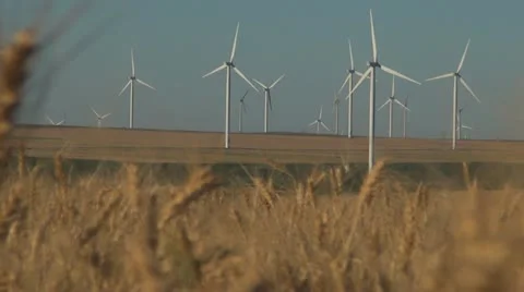 Wind Turbines in Wheat Field Stock Footage