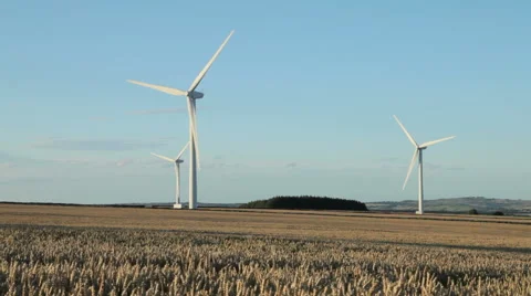 Wind Turbines in Wheat Field Video stock 54052902