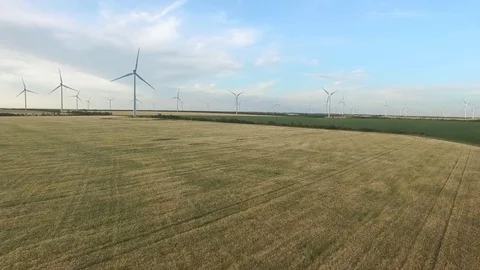 Wind turbines in wheat fields in the summer. Aerial survey Stock Footage 79212749
