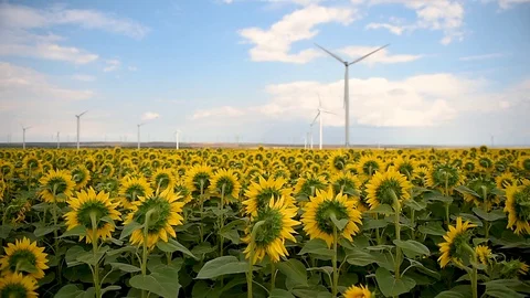 Wind turbines in a wind farm with a dramatic stormy sky in the background Video stock 112342171
