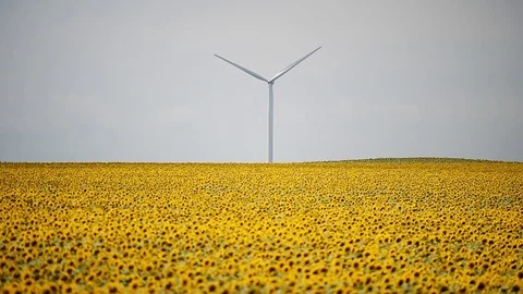 Wind turbines in a wind farm with a dramatic stormy sky in the background Video stock 113408359