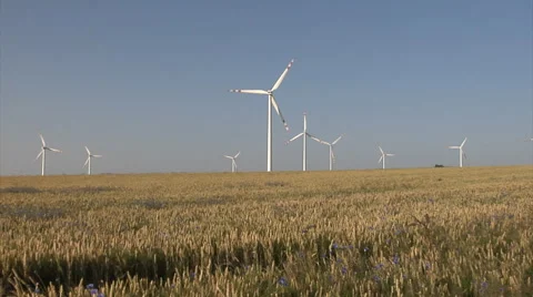 Wind turbines. Wind farm in a wheat field zoom in. Vídeos de archivo 52320053