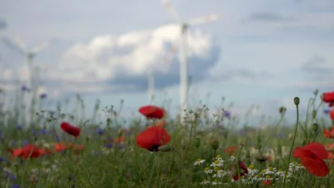 Wind Turbines in Wind Turbines in Stock Footage 338252201
