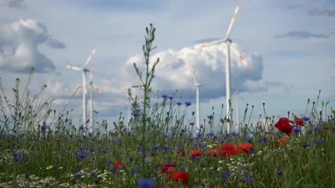 Wind Turbines in Wind Turbines in Stock Footage 338252226