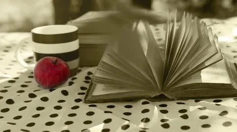 Wind turn old Book Pages on the table in sepia colors Stock Footage 18153885
