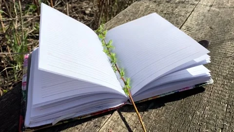 The wind turns notebooks on the open veranda in summer Video stock 159445518