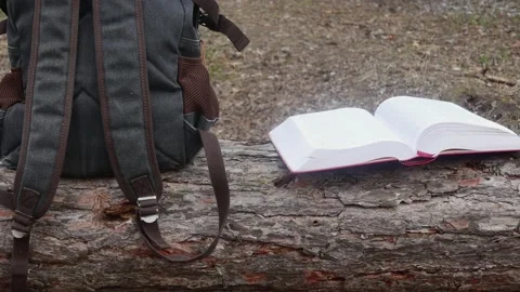 The wind turns the pages of the bible in a clearing on a lying pine Stock Footage 172275462