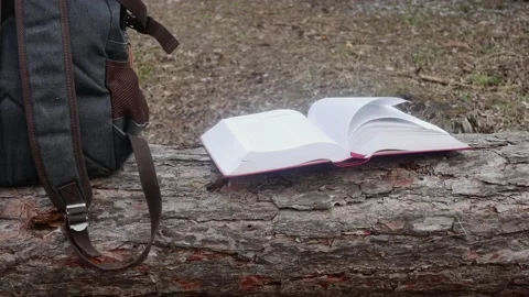 The wind turns the pages of the bible in the forest in a clearing on a lying Stock Footage 172275433