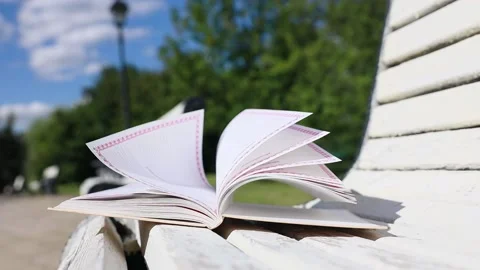 The wind turns the pages of an empty book lying on a bench. Outdoors, side view Stock Footage 205942291