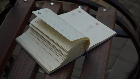 Wind turns the pages of open Notebook lies bench in park, business concept Stock Footage 93341656