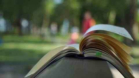 Wind turns the pages of open Notebook lies on handrail in park, business concept Stock Footage 93342074