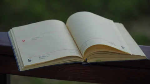Wind turns the pages of open Notebook lies on handrail in park, business concept Stock Footage 93345935