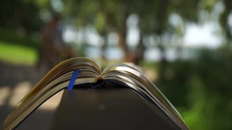 Wind turns the pages of open Notebook lies on handrail in park, business concept Stock Footage 93346305
