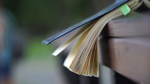 Wind turns the pages of open Notebook lies on handrail in park, business concept Stock Footage 93346731