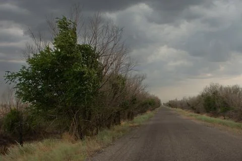 The wind vanishes the branches of trees, the road goes into the distance, t.. Stock Photos