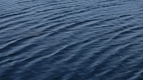 Wind walks on the surface of the lake Video stock 111218678