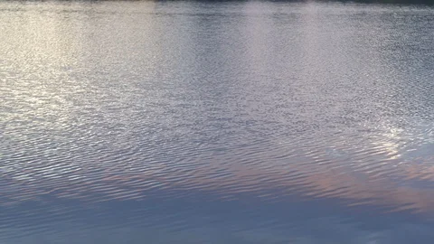Wind walks on the surface of the lake Stock-Footage 125582524