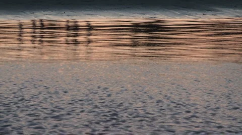 Wind water surface reflect4 Stock-Footage 2982143