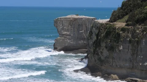 Wind, waves and seagulls near a cliff in New Zealand, HD slow motion Stock Footage 107347474