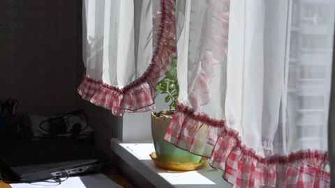 Wind waves curtains with frills and pot plant on windowsill Stock Footage 134998196