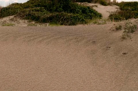 Wind waves of sand dunes Stock Photos