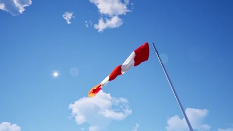 Wind with weather vane wind direction Stock Footage 318603581